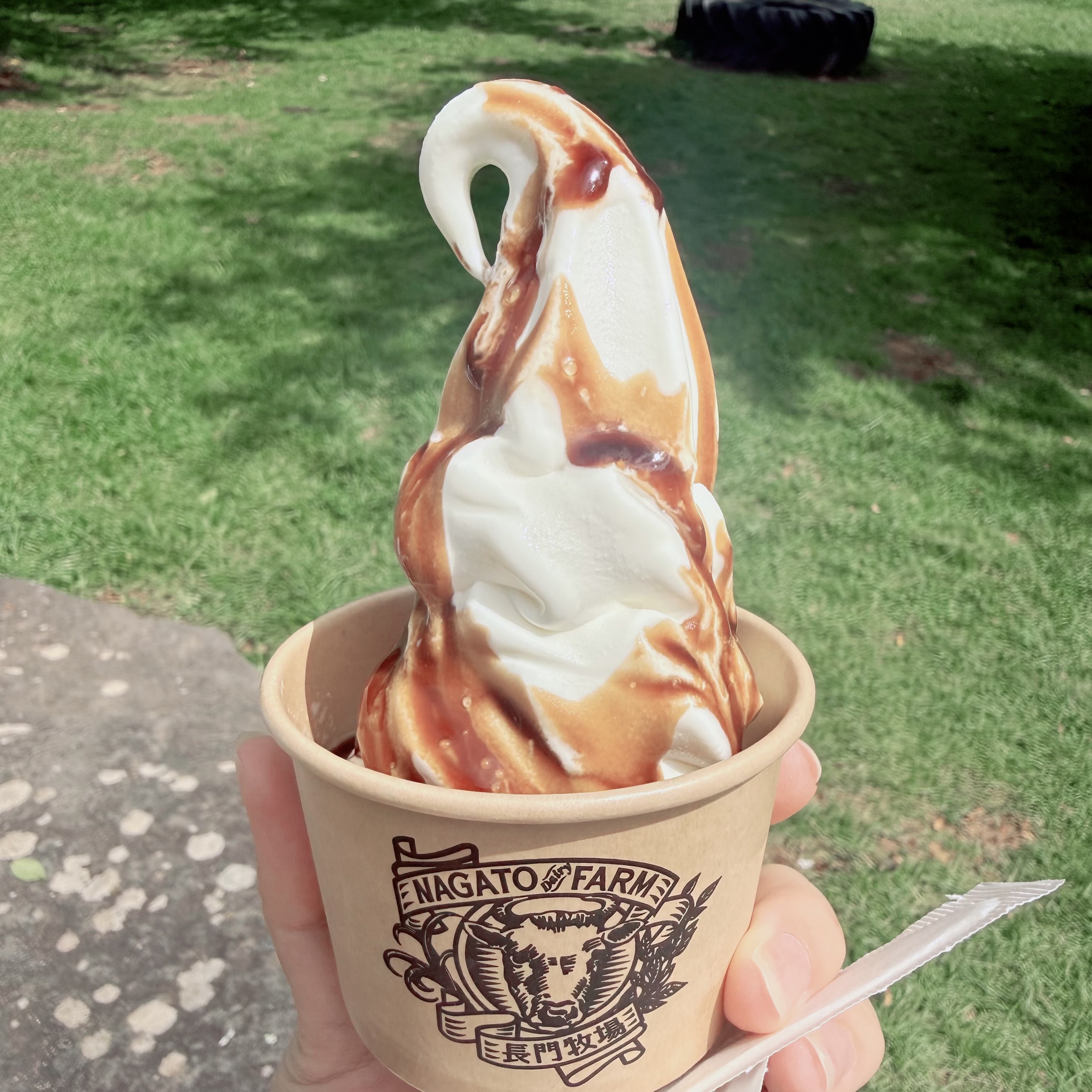 アイスクリーム🍨🤍